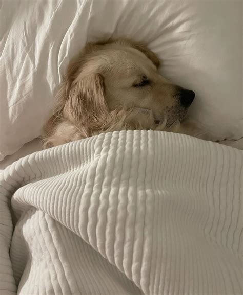 Danielley Ayala | Early morning stretches | Instagram