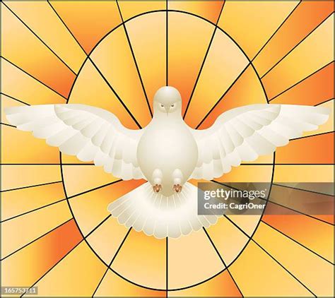 White Dove Holy Spirit Photos and Premium High Res Pictures - Getty Images