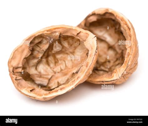 circassian walnut cut  stock images pictures alamy