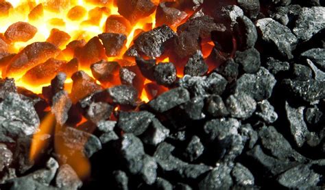 Coal supplies | D M B Farm & Garden Ltd