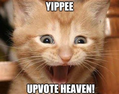 Yippee Meme Discover more interesting Don't be surprised, Enjoyable ...