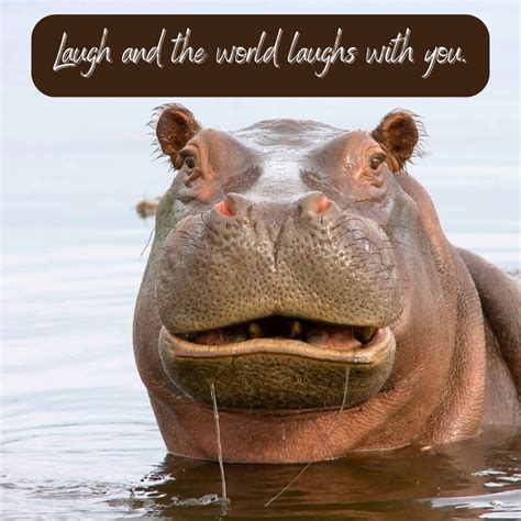 funny jokes     smile roy sutton