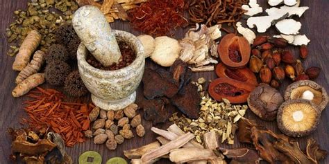 jamu tradisional indonesia warisan herbal era modern deherbacom