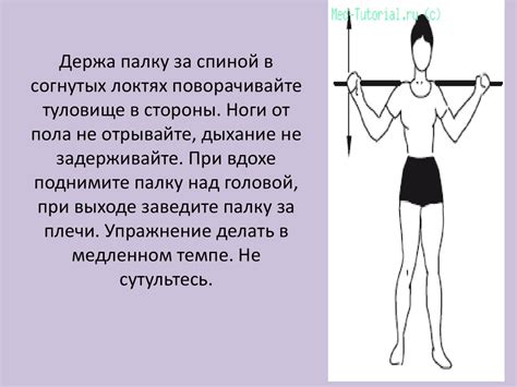 Комплекс упражнений с гимнастической палкой - презентация онлайн