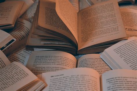 books   read     anita stankovic writers blokke medium