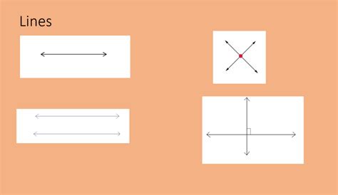 lines diagram quizlet