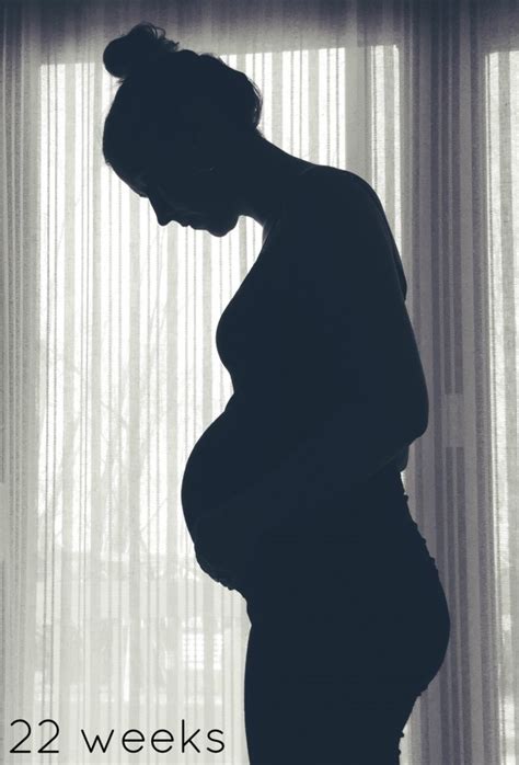 22 Weeks – Page 2 – The Maternity Gallery