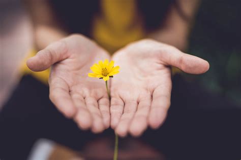 What is Bipolar Depression? Symptoms and Treatment | Seattle Christian