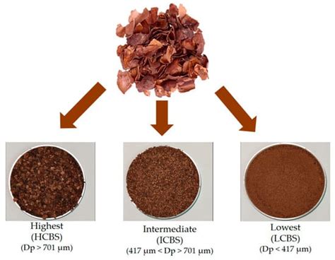 ghanaian cocoa theobroma cacao  bean shells coproducts effect