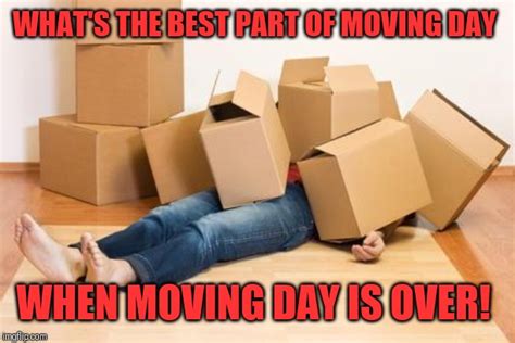 Packing Moving Day Meme