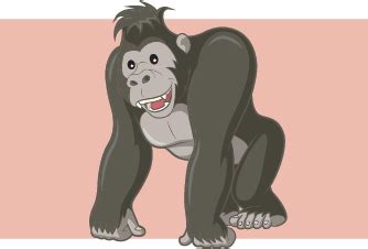 Home - Math Monkey