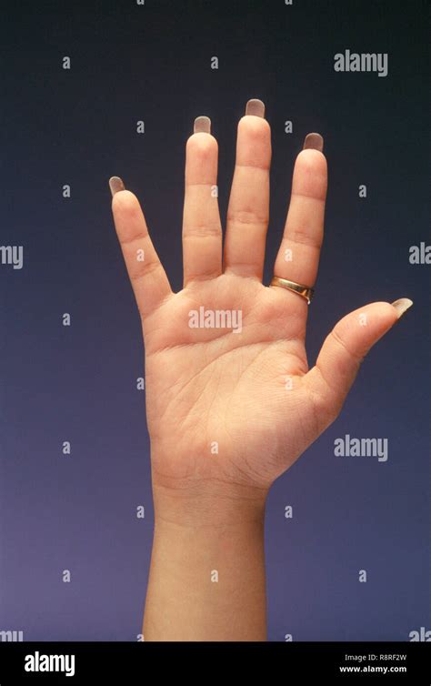 hand open palm stock photo alamy