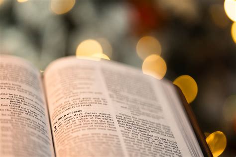 magnificent background  bible verse