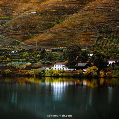 Douro Valley: Discover Portugal's Wine Region and World's Best Drive