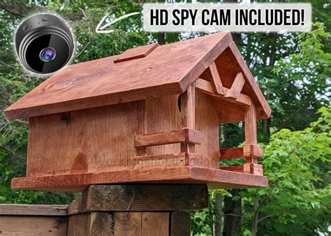 Cabin Birdhouse With HD CAMERA Birdhouse With Front Porch Birdhouse ...