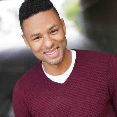 knox artist  chicago il