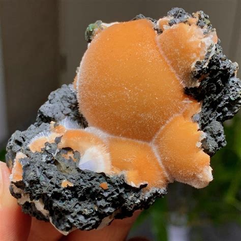 93G Natural Indian dandelion zeolite Quartz Crystal Cluster Mineral ...