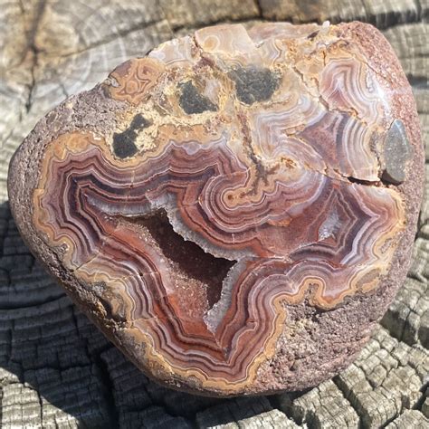 rockhound store south dakota rockhound