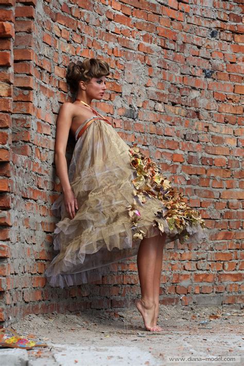 [Amazing Models] Diana Model Set 024 - 微图坊