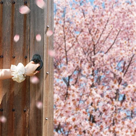 open door spring stock  pictures royalty  images