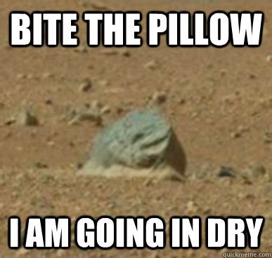 Bite the Pillow I am going in Dry - Misc - quickmeme