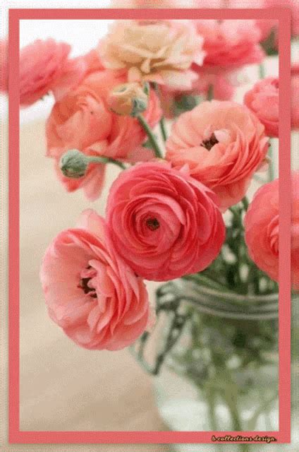 Flowers Good GIF - Flowers Good Morning - Discover & Share GIFs