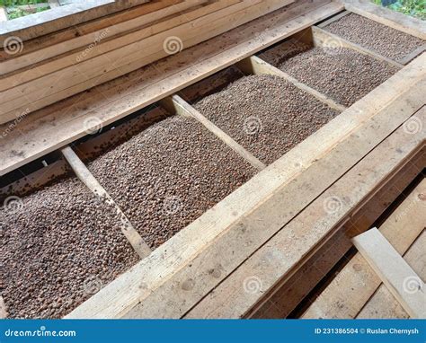 expanded clay stock photo image  material expanded