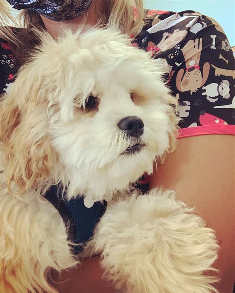 San diego dmv appointment availability will save you hours 20