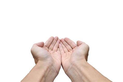hold out one's hand. presenting with hand 21008072 PNG