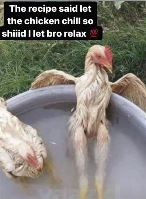 place    chicken memes  jokes