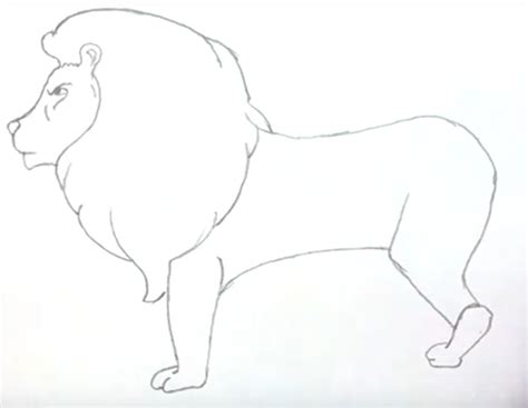 Как нарисовать льва карандашом поэтапно видео: Как нарисовать портрет ...