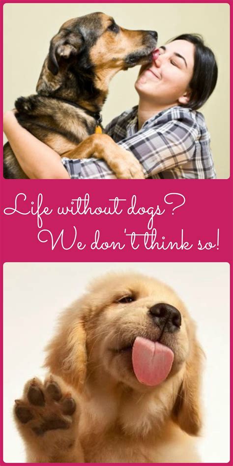 5 Reasons Why You NEED Furarchiver In Your Life Image 12