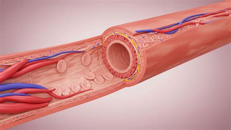Vascular Center Test & Procedures | Samsung Medical Center