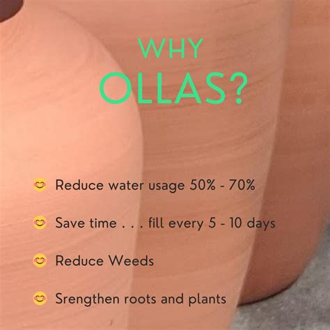 whats  olla  wintry night ollas