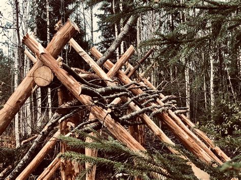 Шалаш в лесу | Шалаш, Навыки выживания, Лес