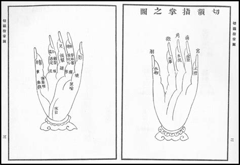 English Consonants Organized by Chinese Cosmology (Mural) | Poetics of Invention