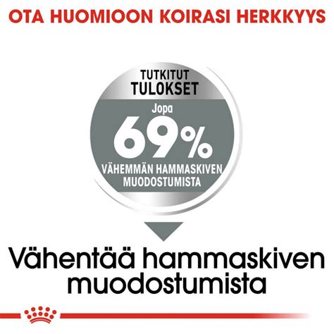 Royal Canin Dental Care Mini | Petenkoiratarvike