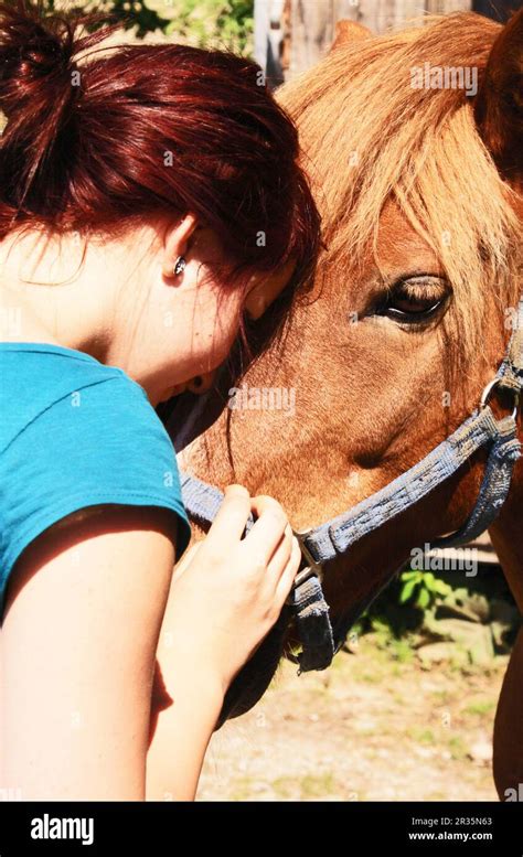 Friendship between humans and animals Stock Photo - Alamy