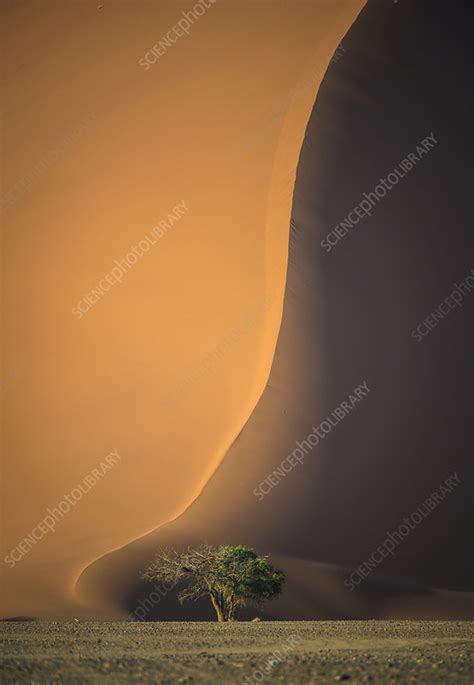 Red dunes of Sossusvlei, Namibia - Stock Image - C041/6373 - Science ...