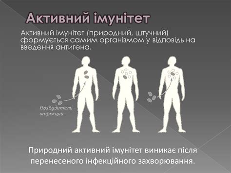 Імунітет. Види імунітету - презентация онлайн