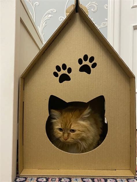 Дом для кота | Кошачий домик, Кошачий гамак, Кошачьи кровати