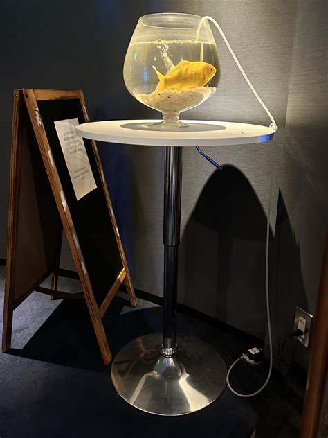 Japanese torture chamber : r/shittyaquariums