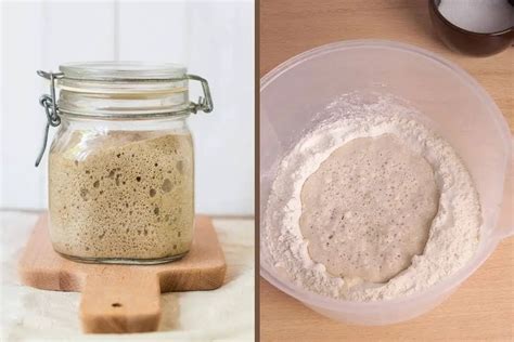 Is Sourdough Starter the Same as Poolish? - Bread and Buzz