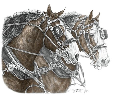 Clydesdale Drawing at PaintingValley.com | Explore collection of ...