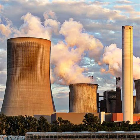 Together for a greener tomorrow celebrating world environment day