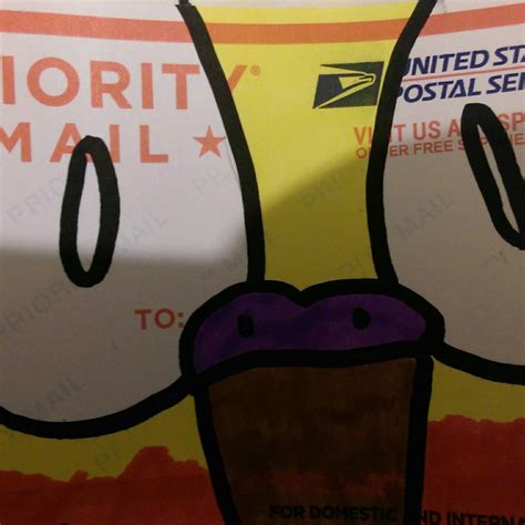 urban animal by appointment 6