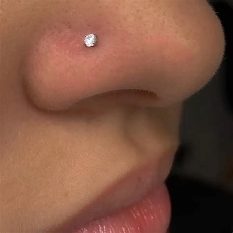 Pontinho De Luz Nariz - Piercing Nariz Ponto de Luz em Prata 925 - Belas Joias