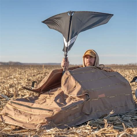 How Fast Can Geese Fly: Facts About Their Speed and Endurance – Dive