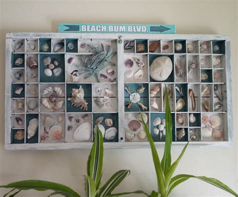 shell wall art ideas framed seashell artworks seashell wall art