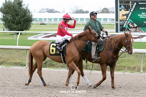 Luminaire - Pocket Aces Racing